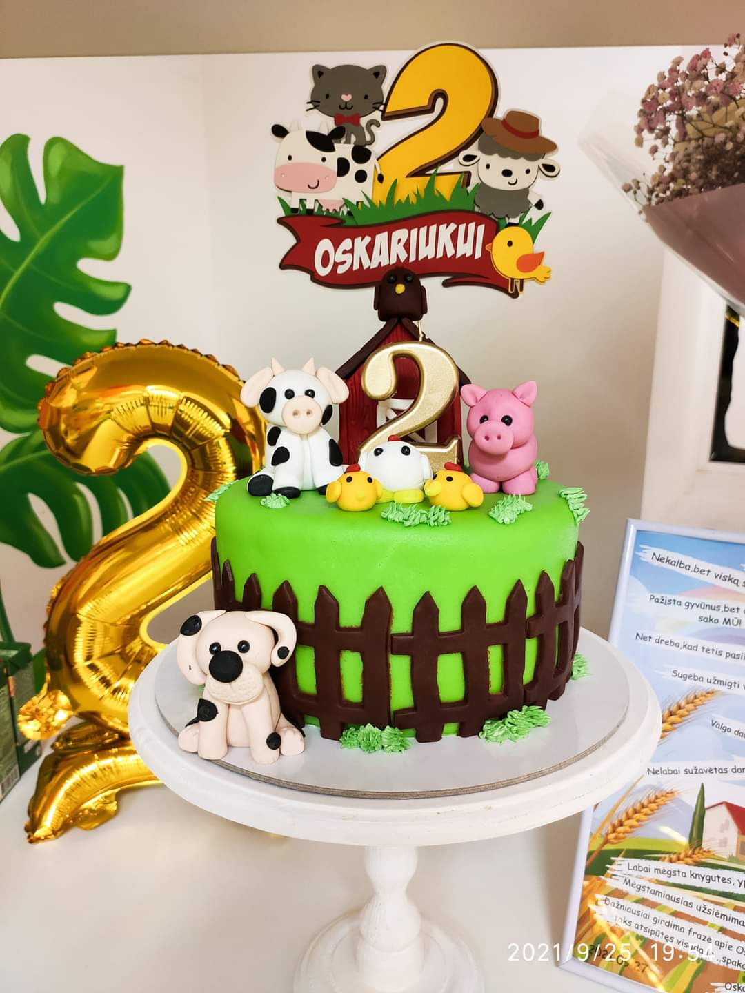 Teminiai smeigtukai tortui - Dodeco